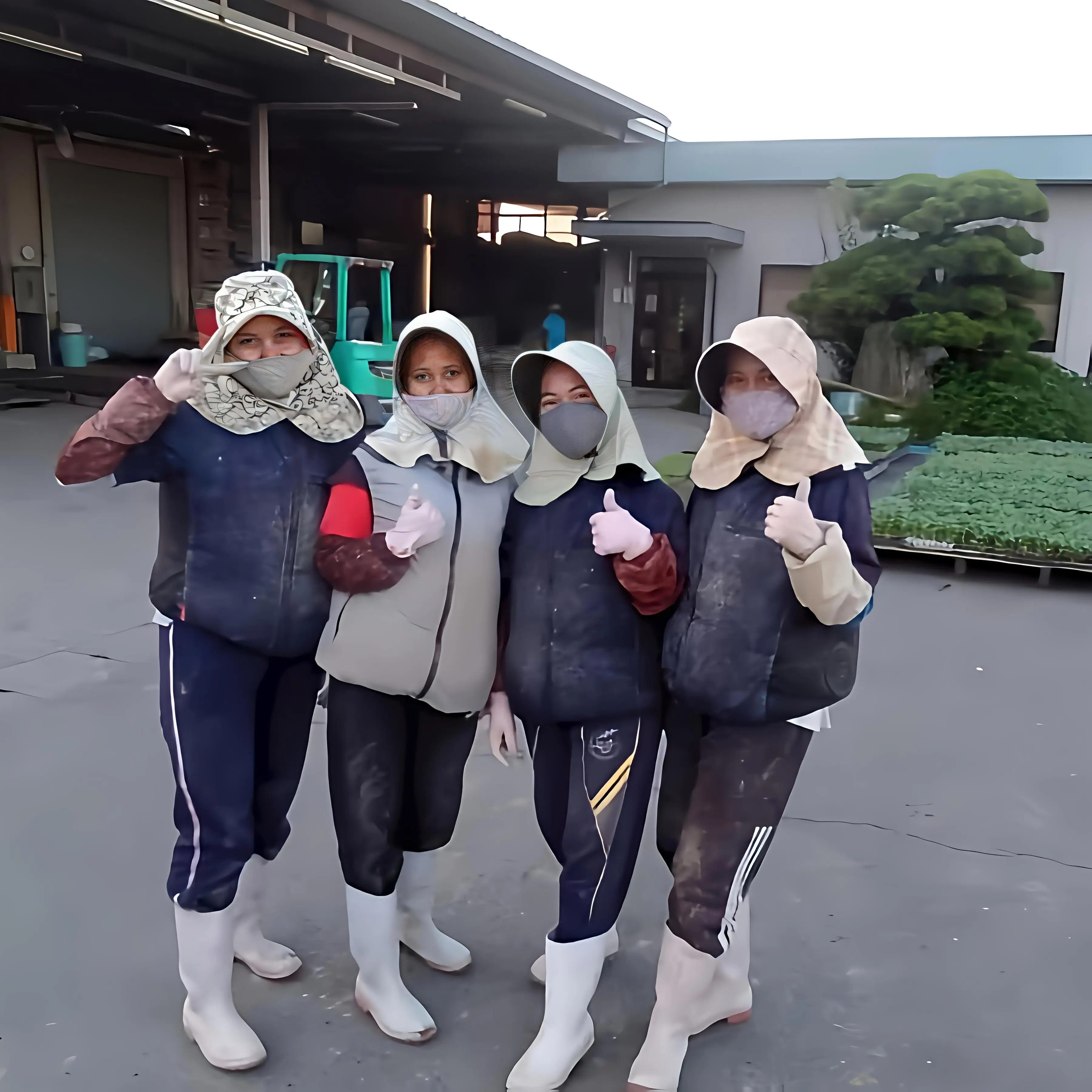 農業実習生
